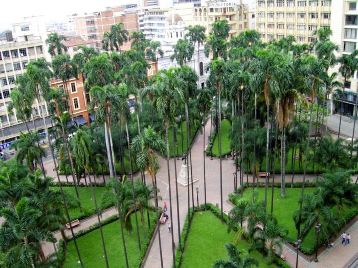 Where to stay in Cali Best areas and neighborhoods The Nomadvisor