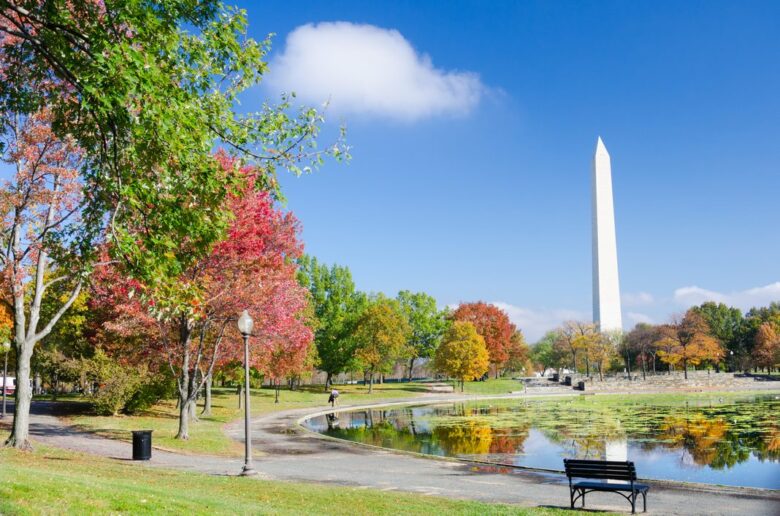 Best things to do in Washington DC