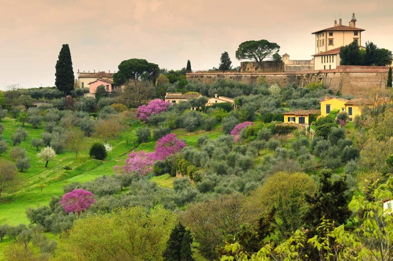 See the Belvedere Fort in Florence