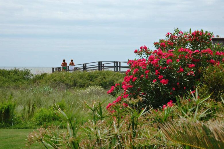 Kiawah Island, an oasis of adventure, natural beauty and southern hospitality