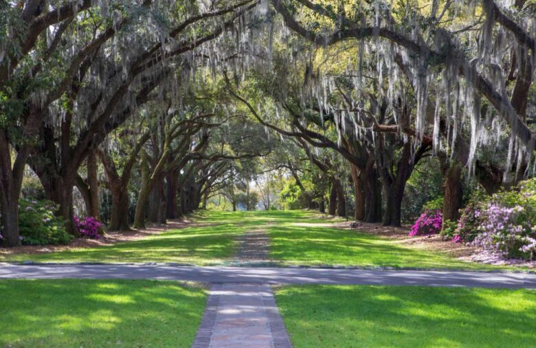 West Ashley, where to stay in Charleston on a budget