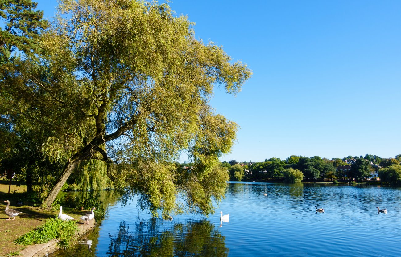 Where to Stay in Cardiff 7 Best Areas The Nomadvisor