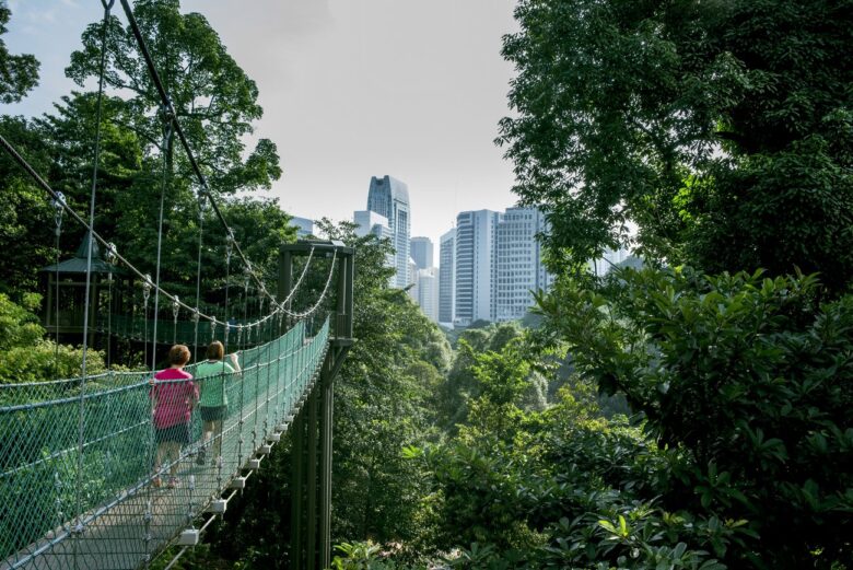 Best things to see in Kuala Lumpur: KL Forest Eco Park