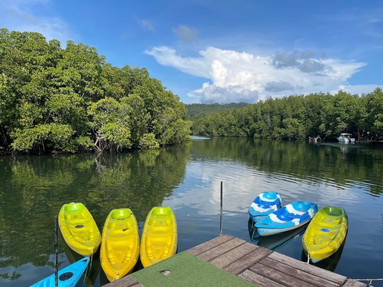 Kayaking in mangrove forest, Koh Kood