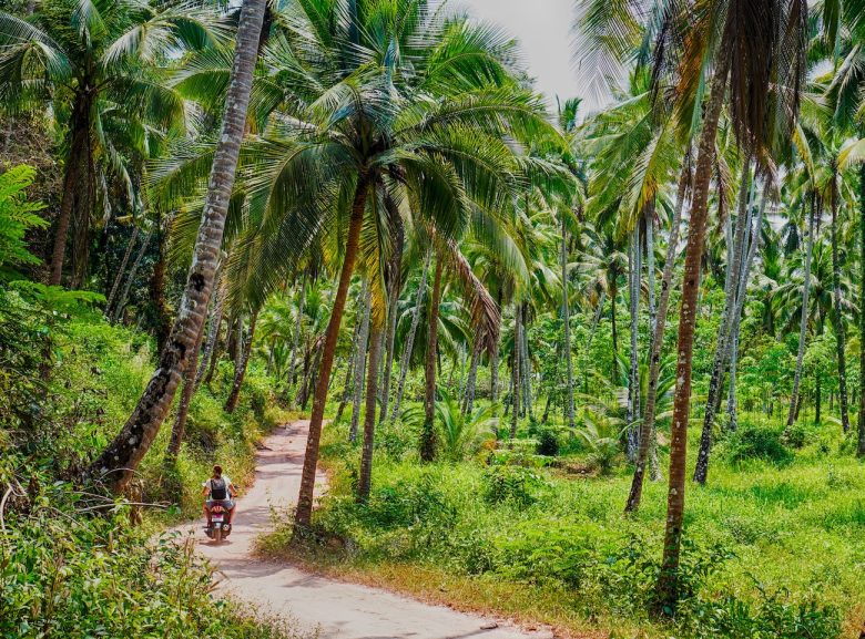 Rent Motorbike in Koh Kood