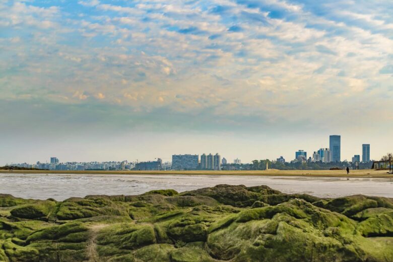 Buceo and Malvín, relaxed beachside neighborhoods with a local feel