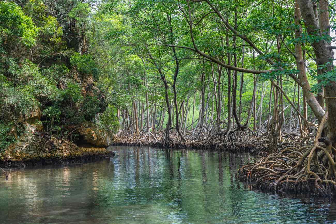 Los Haitises National Park