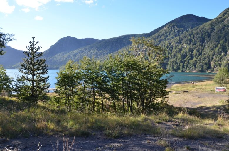 San Martín de los Andes and the Peaceful Lanín National Park